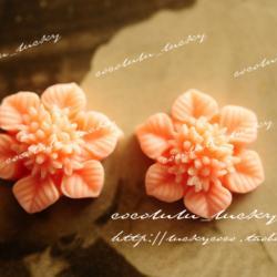  2pcs Vintage Resin Cabochons 16mm BW-SZ-78